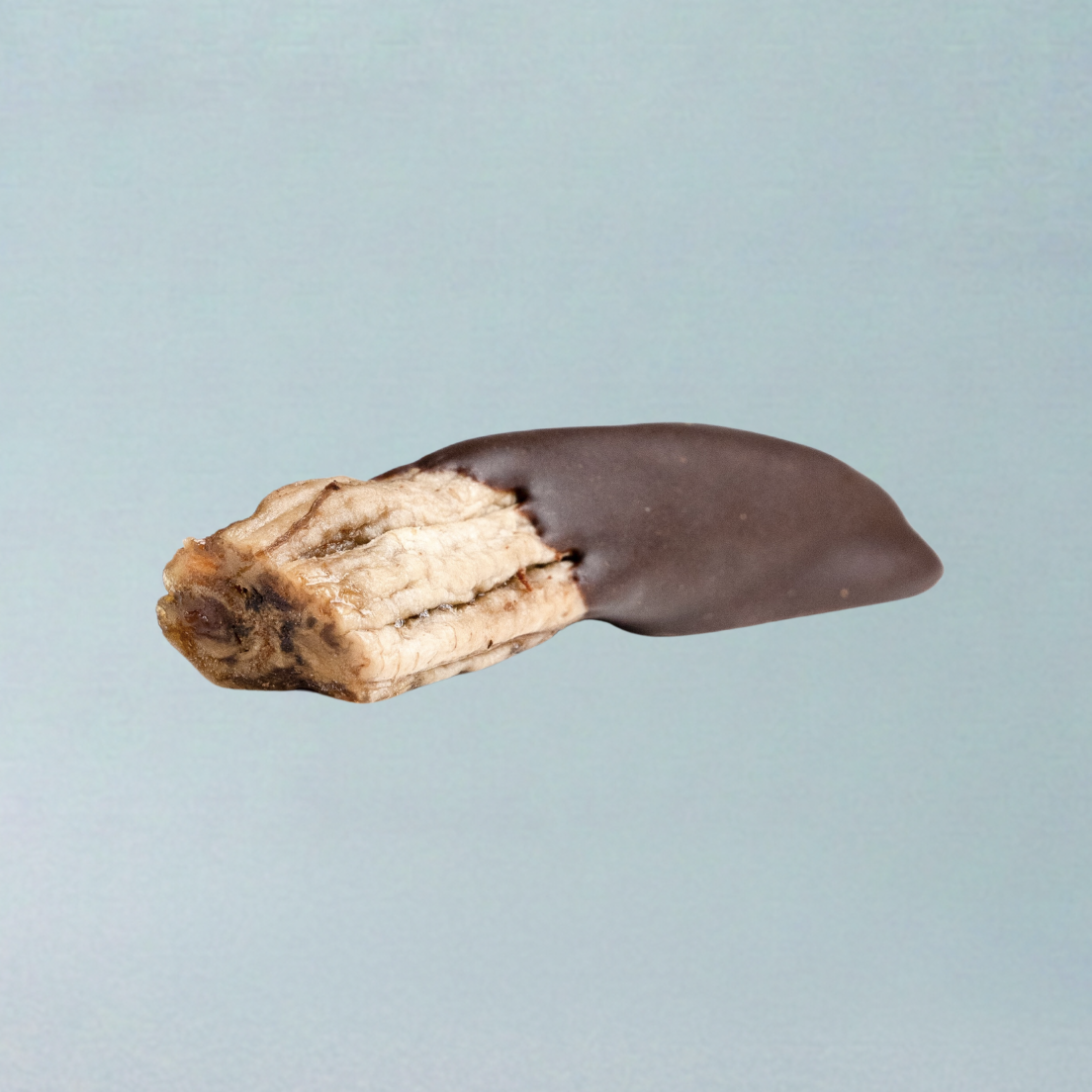 Natural Vegan Carob Coated Bananas (20g)