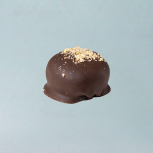 Hazelnut Carob Eclipse Bite (50g)